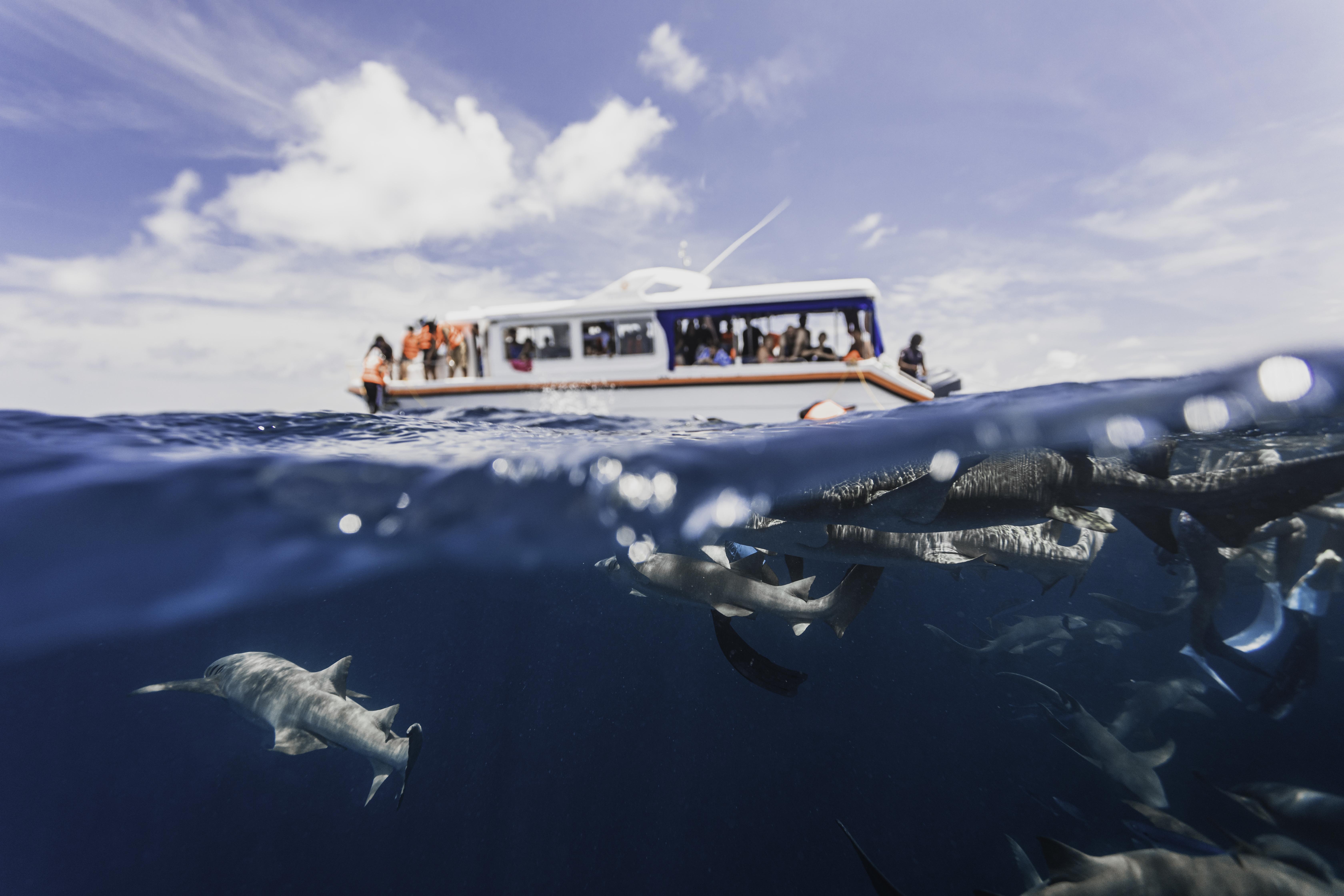 Kaani Grand Seaview Hotel Maafushi Ngoại thất bức ảnh